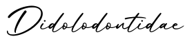 单词Didolodontidae书写