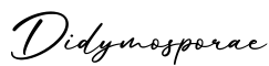 单词Didymosporae书写