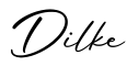 单词Dilke书写