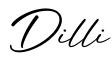单词Dilli书写