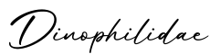 单词Dinophilidae书写