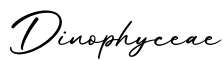 单词Dinophyceae书写