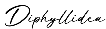 单词Diphyllidea书写