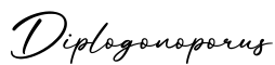 单词Diplogonoporus书写