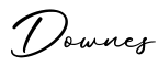 单词Downes书写
