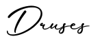 单词Druses书写