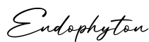 单词Endophyton书写