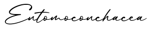 单词Entomoconchacea书写