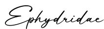 单词Ephydridae书写