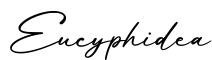 单词Eucyphidea书写