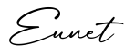 单词Eunet书写