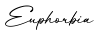 单词Euphorbia书写