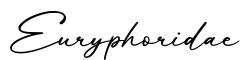 单词Euryphoridae书写