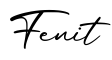 单词Fenit书写