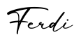单词Ferdi书写