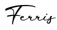 单词Ferris书写