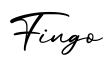 单词Fingo书写