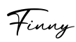 单词Finny书写