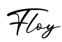 单词Floy书写