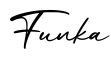 单词Funka书写