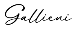 单词Gallieni书写