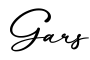 单词Gars书写