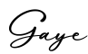 单词Gaye书写