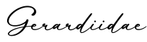 单词Gerardiidae书写