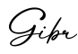 单词Gibr书写