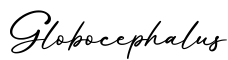单词Globocephalus书写