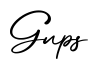 单词Gnps书写