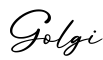 单词Golgi书写