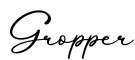 单词Gropper书写