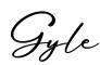 单词Gyle书写