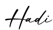 单词Hadi书写