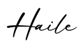 单词Haile书写