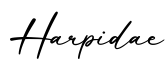 单词Harpidae书写