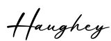 单词Haughey书写