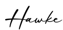 单词Hawke书写