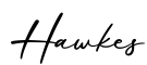 单词Hawkes书写