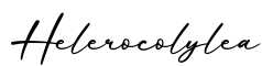 单词Helerocolylea书写