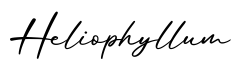 单词Heliophyllum书写