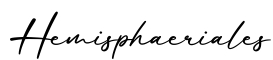 单词Hemisphaeriales书写