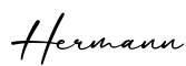 单词Hermann书写