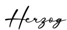 单词Herzog书写