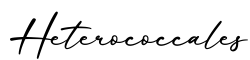 单词Heterococcales书写