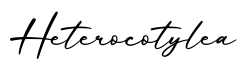 单词Heterocotylea书写