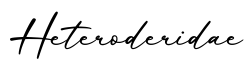 单词Heteroderidae书写