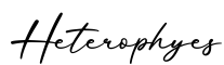 单词Heterophyes书写