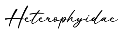 单词Heterophyidae书写